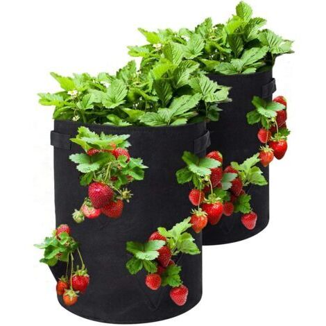 Lot de 2 sacs de culture fraises 10 gallons –8 poches latérales –Tissu non tissé respirant pour drainage optimal –Poignées renforcées