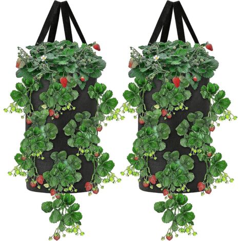 Lot de 2 sacs de culture respirants pour fraises de 10 gallons avec poignées - Jardinières en tissu pour la plantation au jardin