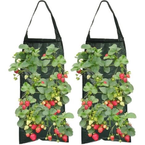 YGKYMVW Voile Hivernage Plante Exterieur, 2 PièCes 80cm×120cm Set De Protection Hivernale Pour Plantes, Avec Fermeture éClair Et Cordon De Serrage, Protection Hivernale Pour Plantes En Bacs