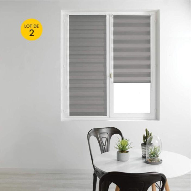 Lot de 2 Stores enrouleur jour et nuit 45 x 180 cm polyester daynight Gris
