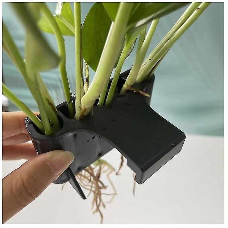 Lot de 2 supports de plantes émergentes à face ouverte, support de plantes aquatiques suspendu pour aquarium, décorations pour aquarium f