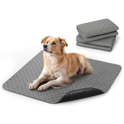 Tapis absorbant chien