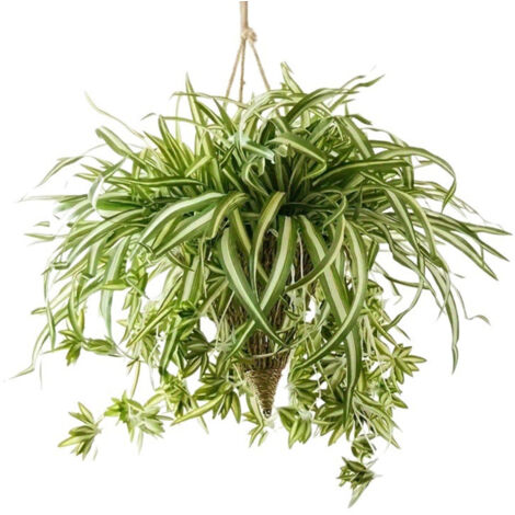 Lot de 2 tentures murales artificielles en soie de chlorophytum, en forme d'araignée, pour la décoration intérieure et extérieure.