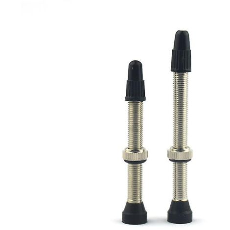 lot De 2 Tubeless Valves - Valves Argent, 45 Mm