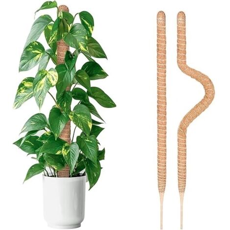 Lot de 2 tuteurs en fibre de coco 64 cm – Support respirant pour plantes grimpantes – Renforcement avec fil d'acier