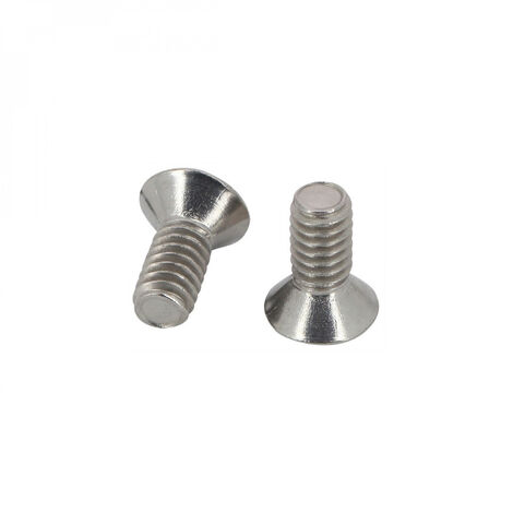 Lot de 2 vis pour couvercle de skimmer de piscine - SPX1082Z1 - Hayward