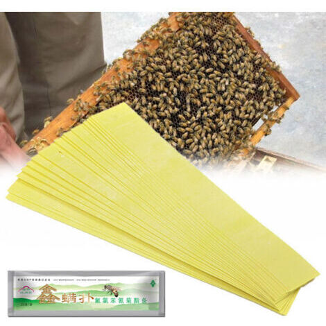 Lot de 20 bandes d'outils pour apiculture professionnelle Fluvalinate contre les acariens des abeilles Varroa