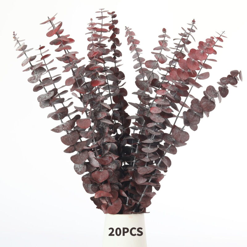 Feiyue - Lot de 20 branches d'eucalyptus séchées, 43 cm, tiges d'eucalyptus naturelles préservées, pour décoration intérieure, composition florale,