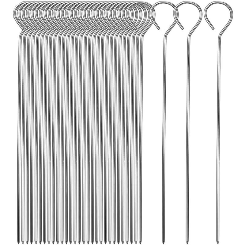 Lot de 20 brochettes en acier inoxydable de 25,5 cm pour barbecue, guimauves, chocolat, snacks de feu de camp, légumes et poisson