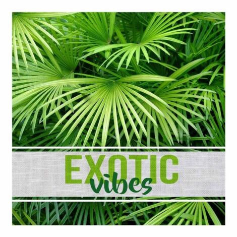 Lot de 20 serviettes papier Exotic