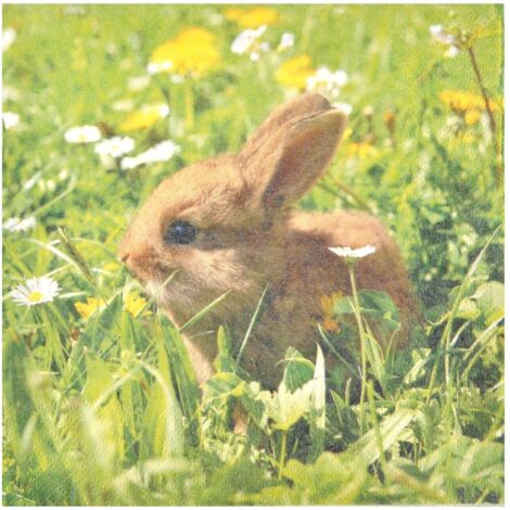 Lot de 20 serviettes papier lapin