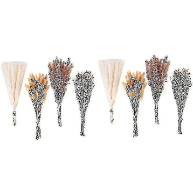 Feiyue - Lot de 200 fleurs séchées en herbe de pampa pour décoration de mariage