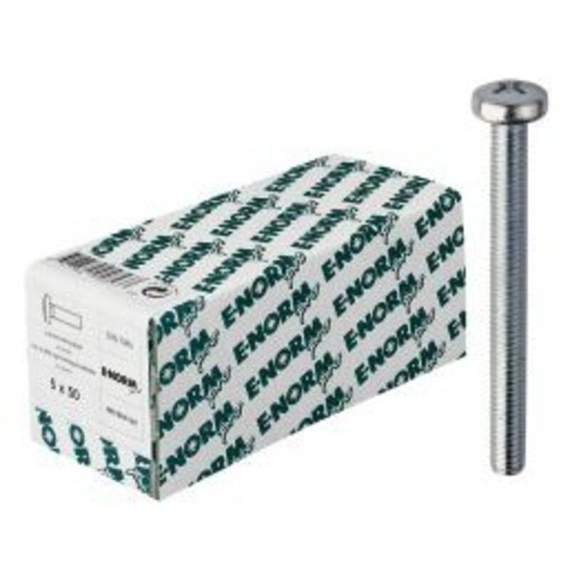 Vis a tete cylindrique din 7985 4.8 hdg -h M6x100 kp E-normpro Par 25)