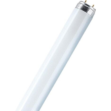 Lot de 25 lampes fluorescentes 36W Blanc froid 4000K 120cm Osram Lumilux