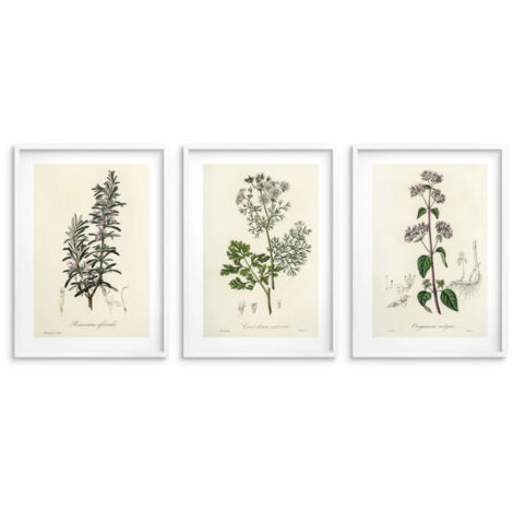 Lot de 3 affiches Décoration murale pour la cuisine Affiches de cuisine Herbes