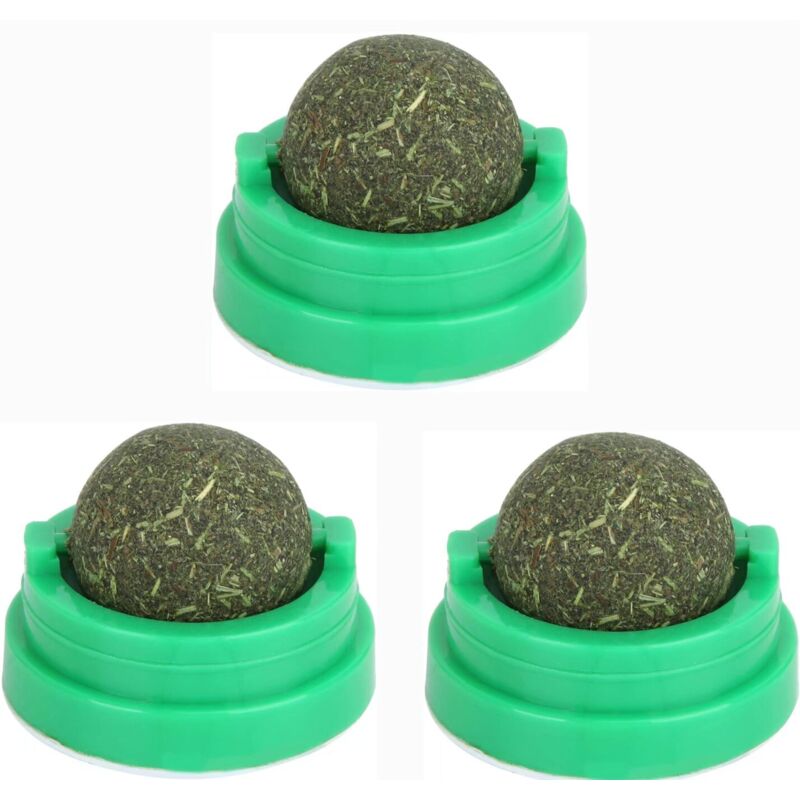 Lot de 3 Cataire Naturel adapté à la régulation de l'humeur du Herbe à chat,