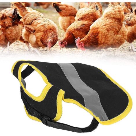 Lot de 3 gilets réfléchissants pour poules, harnais ajustable, selle de marche, tabliers de protection pour plumes, support pour canards, poules, oies et volailles.