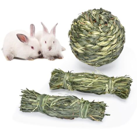 Lot de 3 jouets à mâcher pour lapins et petits animaux - Résistants aux morsures