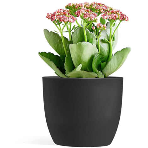 Lot de 3 pots de fleurs à arrosage automatique noirs, diamètre 15 cm, plantes d’intérieur