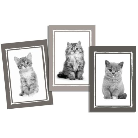 Lot de 3 Torchons Chatons