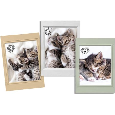 Lot de 3 Torchons Chats choupinou