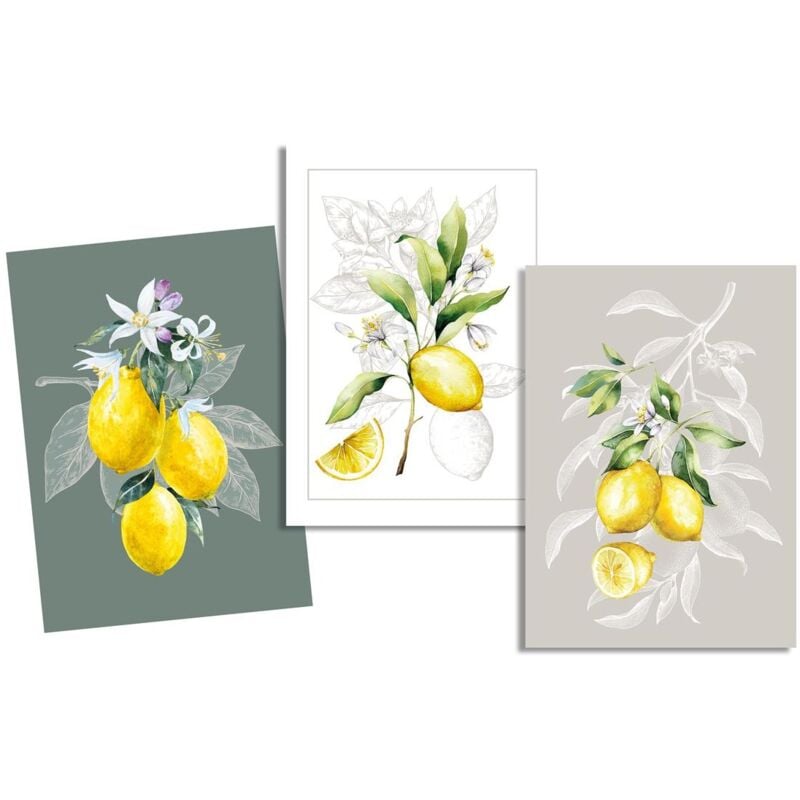 Lot de 3 Torchons Citron