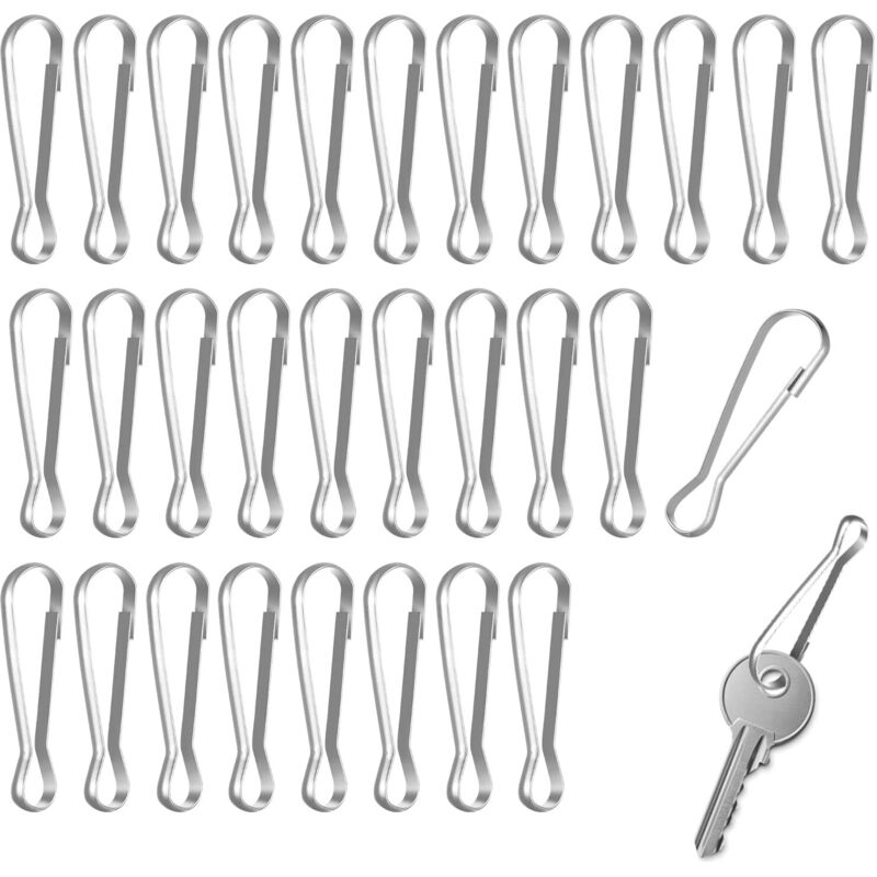 Lot de 30 clips à ressort en acier inoxydable pour mât de drapeau, porte-clés, chaussettes, corde à linge (40 mm)