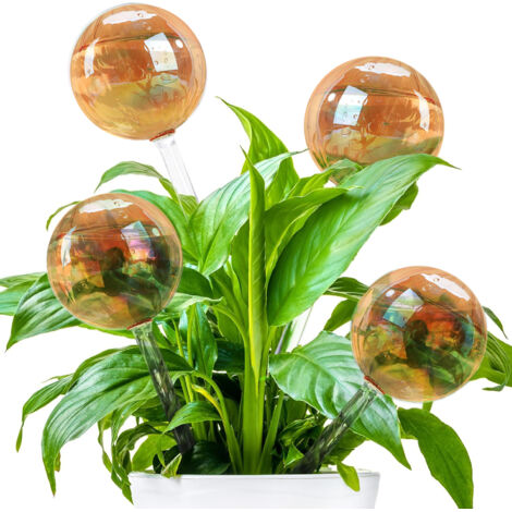 Lot de 4 boules d'arrosage pour plantes, en verre à rayures dorées, pour pots de fleurs à arrosage automatique. Accessoires pour plantes, adaptés à l'intérieur et à l'extérieur, aux pots, aux plantes