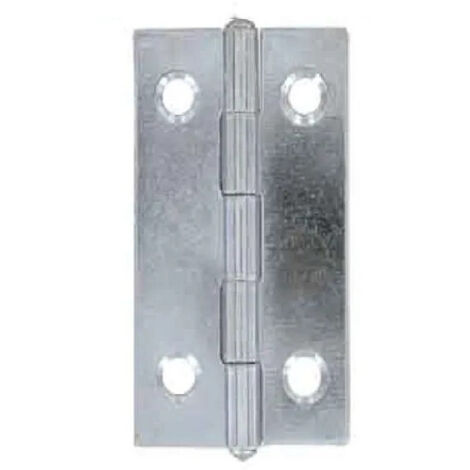 Lot de 4 charnières acier 30 x 19 mm SC