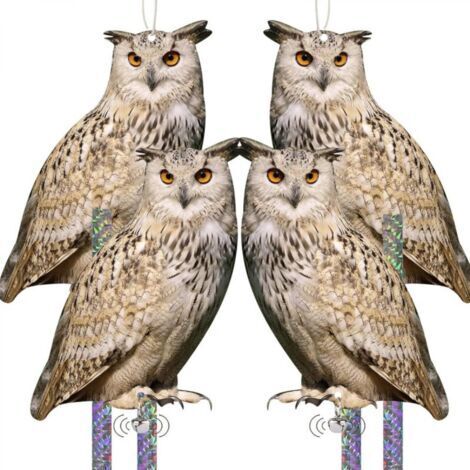 Lot de 4 chouettes en acrylique à suspendre, avec ruban réfléchissant, pour balcon, maison, fenêtres, porche, cour