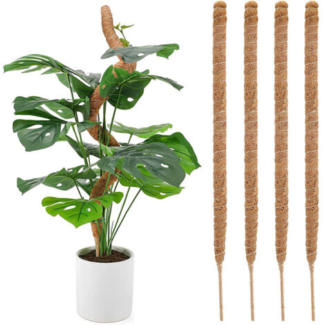 Lot de 4 tuteurs en mousse Monstera pour plantes en pot, support flexible pour plantes