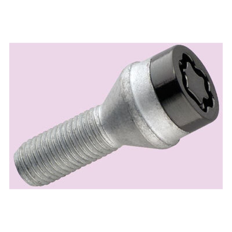 4 vis 12x125 - L24mm - H17mm Conique - Noir - Antivol de Roues - 27216SUB