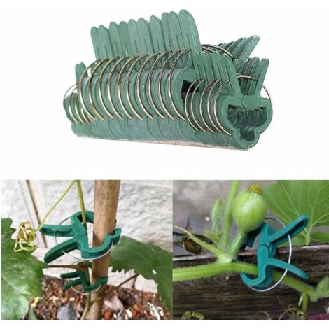 Lot de 40 pinces à plantes robustes, pinces de jardin, 3 x 4,5 cm + 3 x 4,5 cm