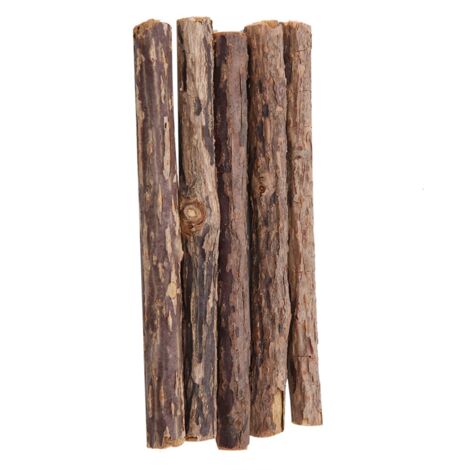 Lot de 5 bâtonnets à mâcher pour chat, en matatabi naturel, à l'herbe à chat.