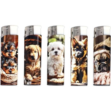 Lot de 5 briquets à gaz piézo classiques avec chiens
