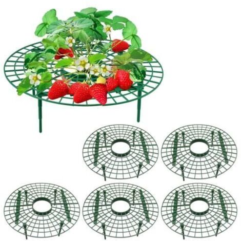 Lot de 5 cadres pour fraisiers - Support réglable à 4 pieds - Protection anti-limaces - Pour plantes