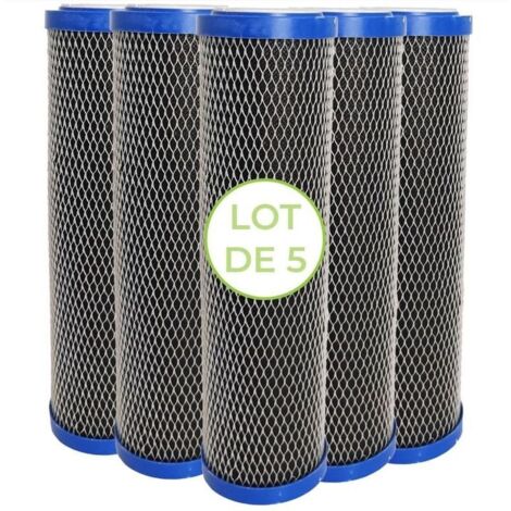 Lot de 5 Cartouches 2 en 1 Filtre à Eau 10 pouces - Anti sédiments + Charbon actif 5 microns Filtre à Impuretés