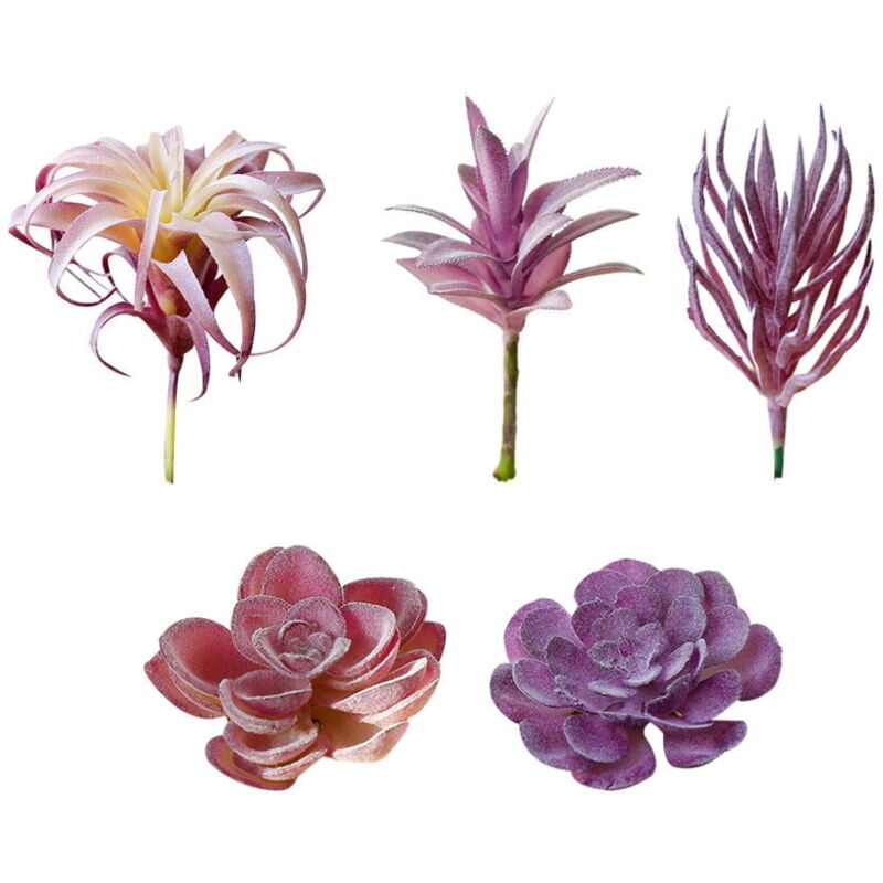 Lot de 5 fleurs succulentes artificielles réalistes et créatives