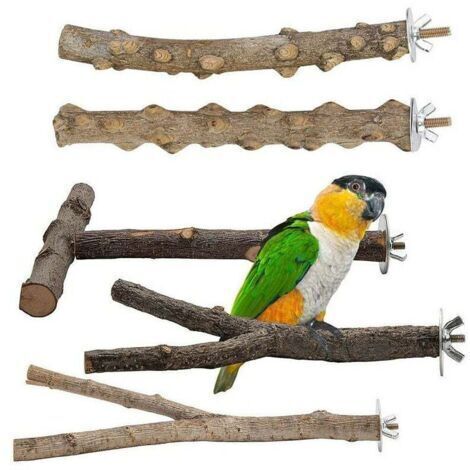 Lot de 5 perchoirs en bois naturel pour oiseaux, perchoirs en bois naturel, accessoires pour oiseaux, perruches, jouets pour oiseaux, grimper debout, cage à oiseaux
