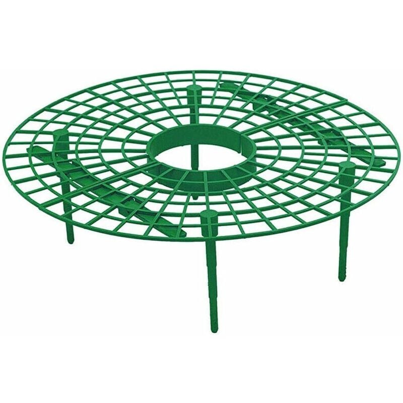 Lot de 5 supports de culture de fraises, supports de maturation des fraises pour fraises laitue et tomates Fei Yu