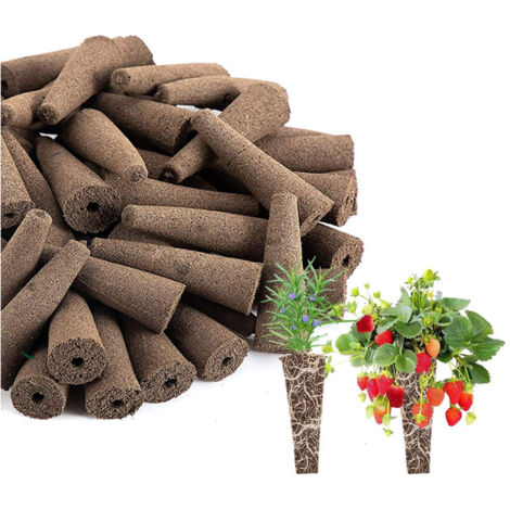 Lot de 50 éponges de culture de rechange compatibles avec AeroGarden - Capsules de germination pour améliorer la vitesse de germination, kit de démarrage pour système de culture hydroponique d'intérie