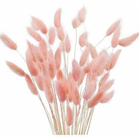 Lot de 50 fleurs séchées herbe de pampa rose – Décoration naturelle bohème pour mariage et anniversaire – 40cm
