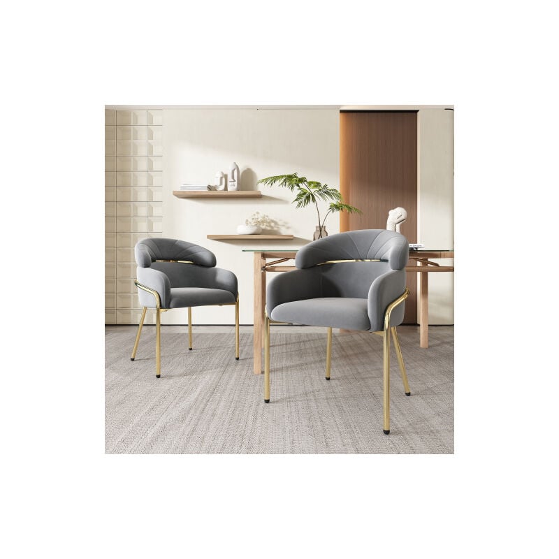 Wishdor - Lot de 2 chaise de salle à manger en velours gris avec pieds en métal, pour salon, chambre à coucher, loisirs