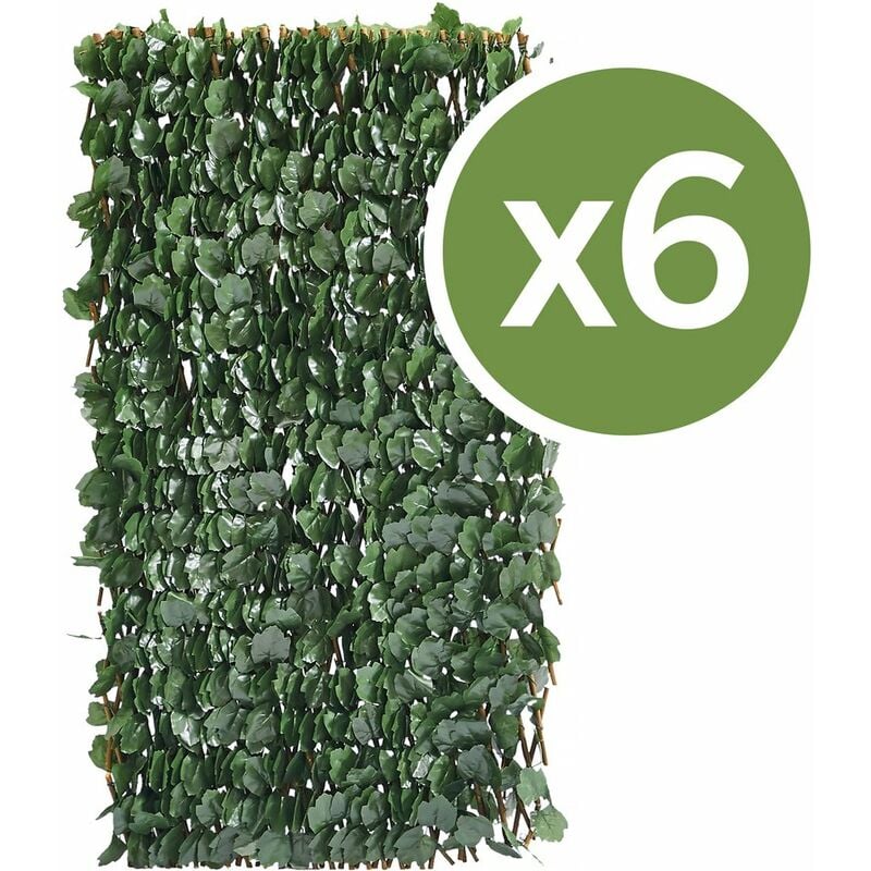 Lot de 6 Clôtures en treillis de saule "Fragon" - 200 x 100 cm - Vert