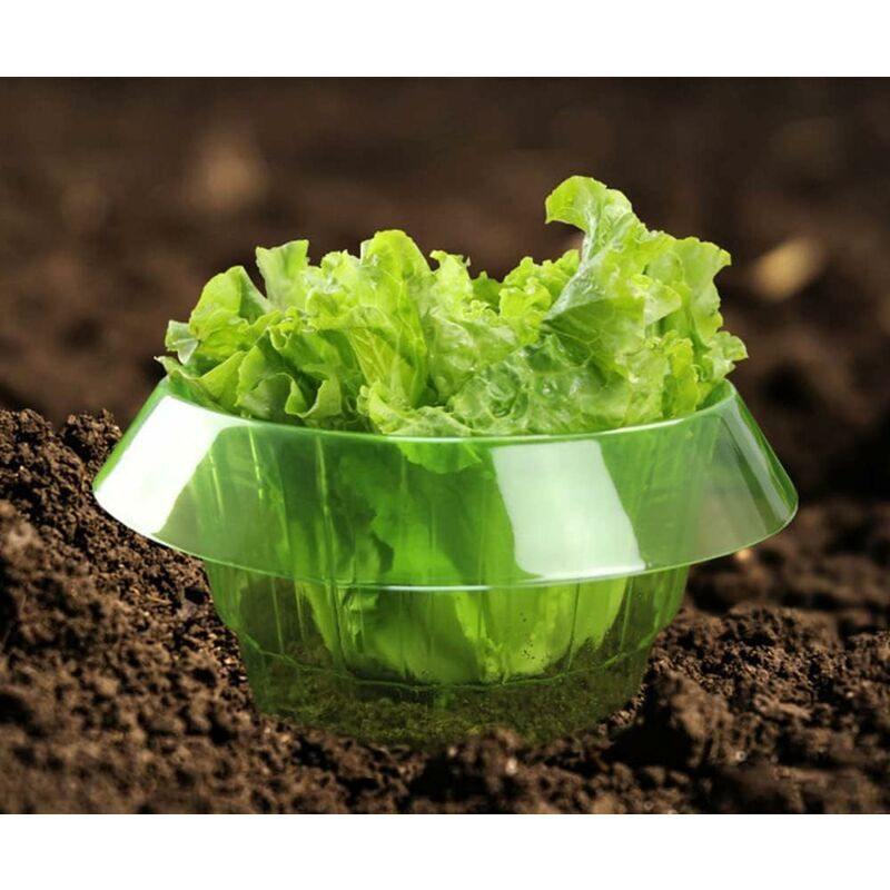 Lot de 6 colliers anti-escargots sans produits chimiques