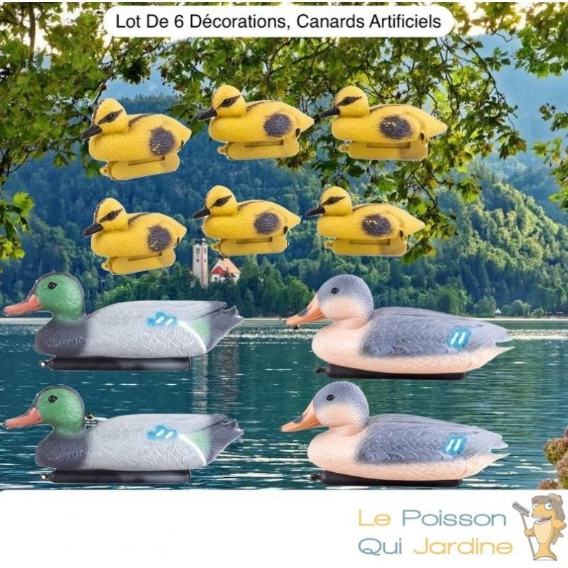 Le Poisson Qui Jardine - Lot De 6 Décorations , 2 Màles + 2 Femelles Canard + 6 Canetons, Artificiel