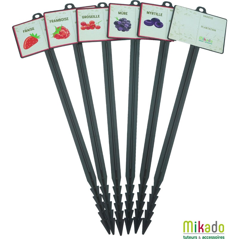 Mikado - Etiquettes pour plante fruits Fraise Framboise Groseille Mûre Myrtille Vierge X6