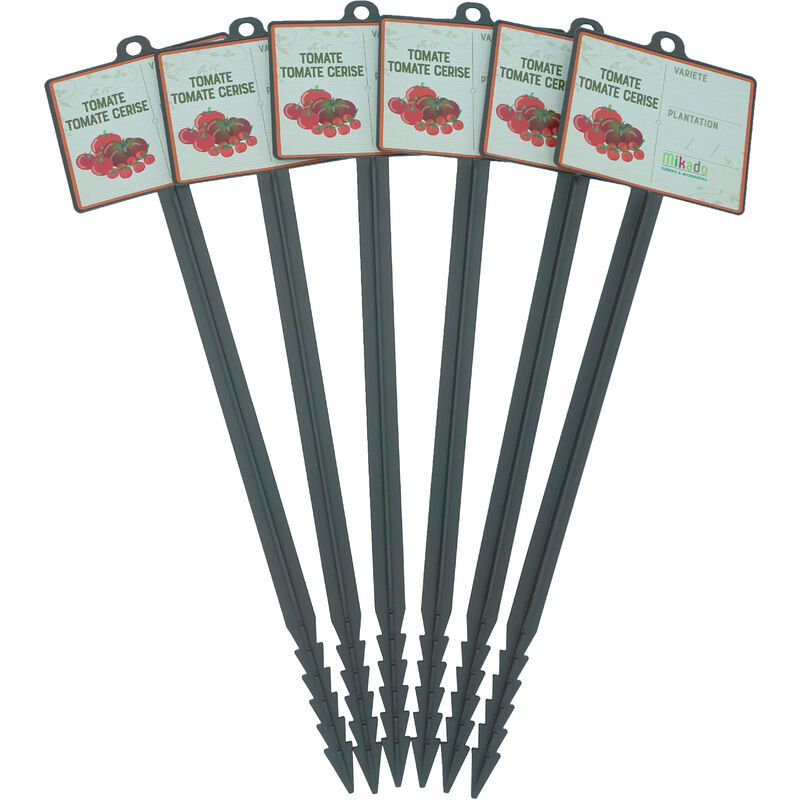 Etiquettes pour plante tomate X6