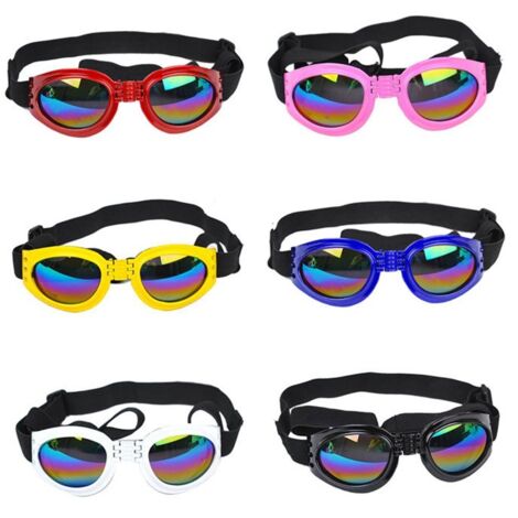 Lot de 6 lunettes pour chien – coupe-vent – anti-buée – protection UV – pour