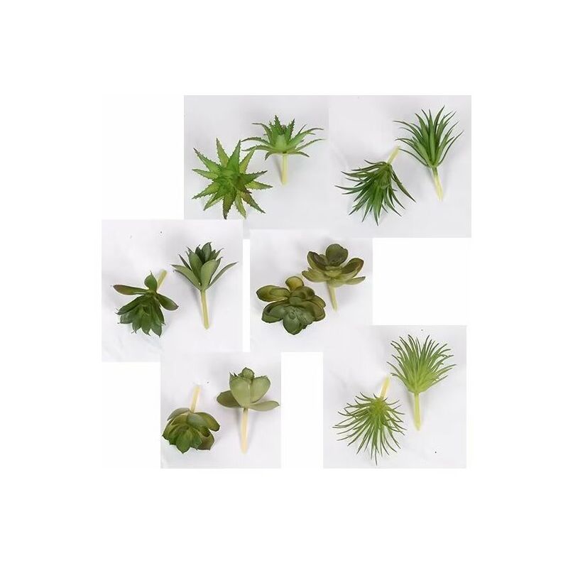 Lot de 6 plantes grasses artificielles vertes assorties dans différentes fausses plantes grasses suspendues texturées pour décoration murale,